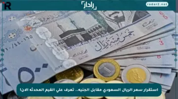استقرار سعر الريال السعودي مقابل الجنيه.. تعرف على القيم المحدثة الآن!